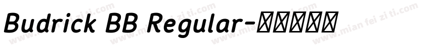 Budrick BB Regular字体转换